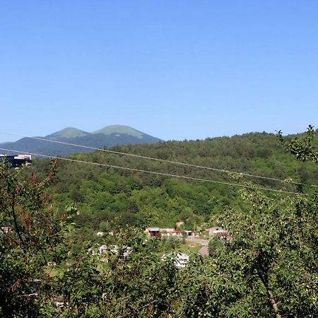 Dilijan Town Inn エクステリア 写真