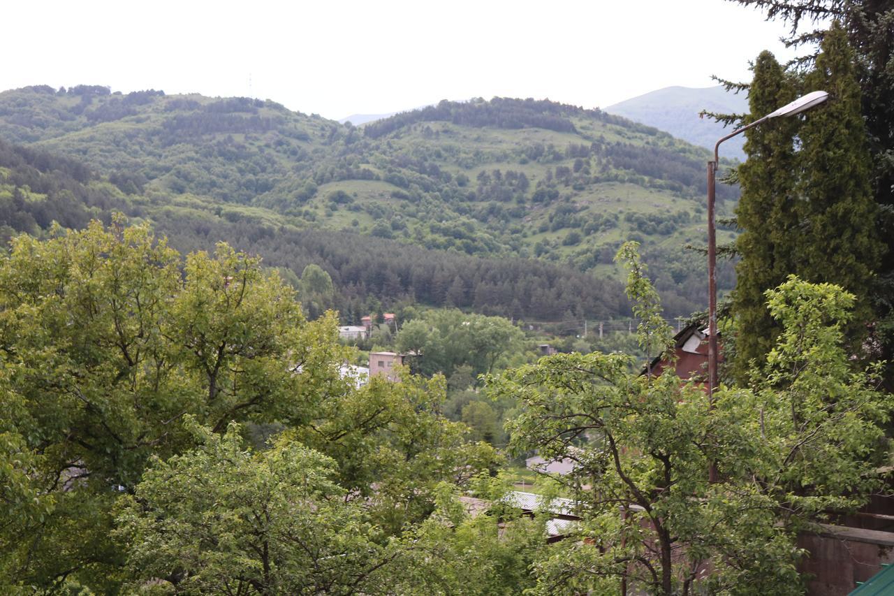 Dilijan Town Inn エクステリア 写真