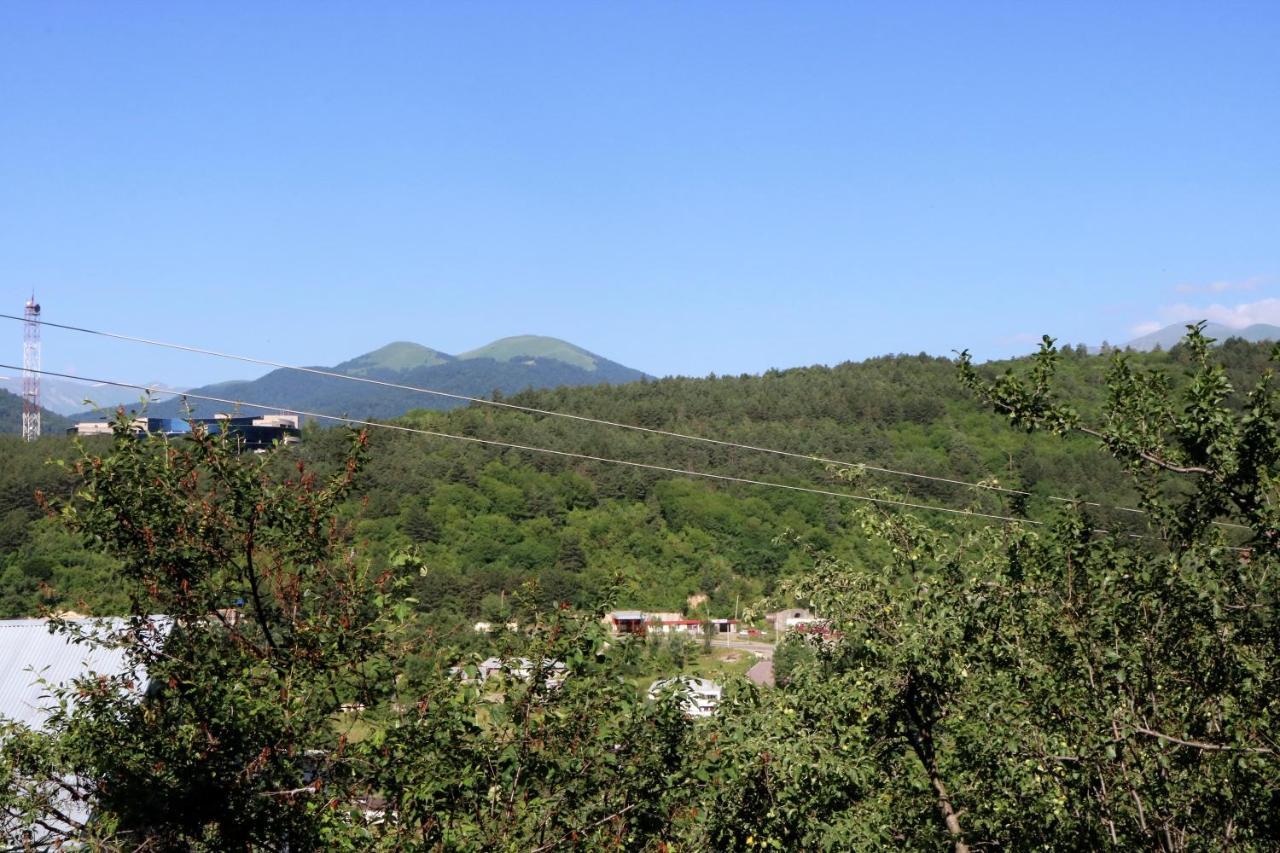 Dilijan Town Inn エクステリア 写真